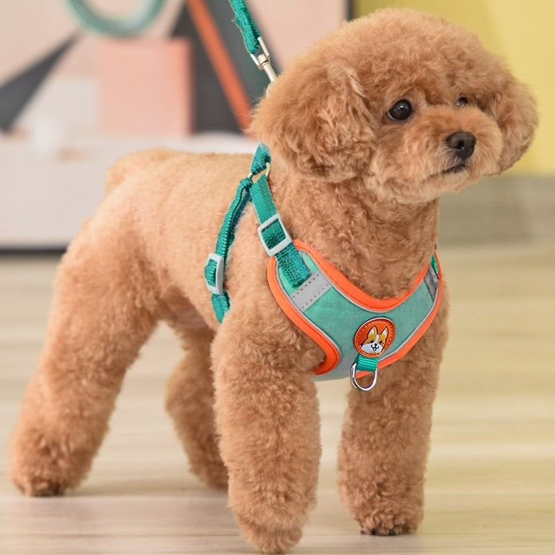 Running Gear Dog - Светоотражающий поводок для собак