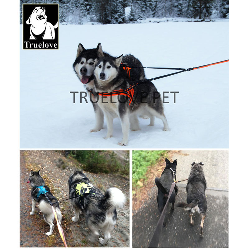 Truelove нейлоновый двойной по – обзор и цена Running Gear Dog