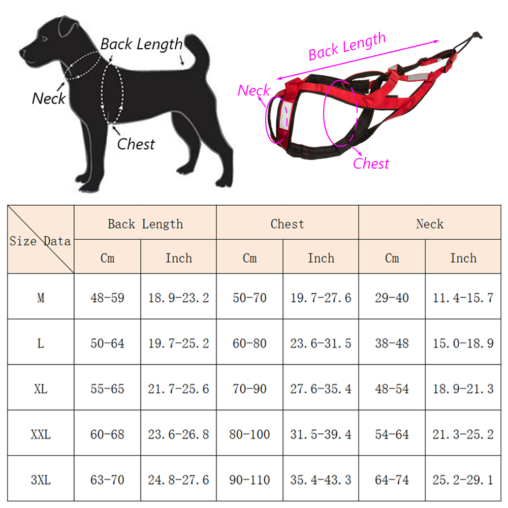 Высококачественная шлейка для  – обзор и цена Running Gear Dog