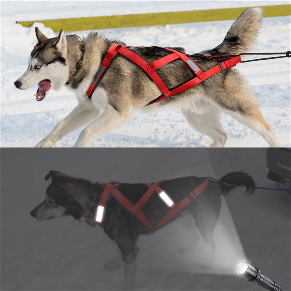 Высококачественная шлейка для  – обзор и цена Running Gear Dog