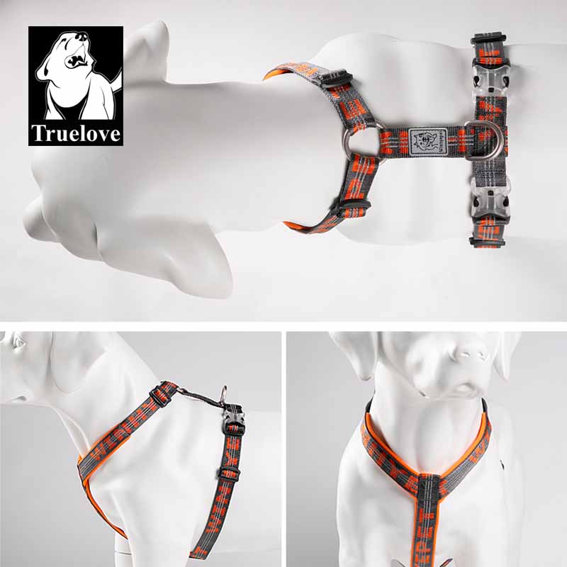 TRUELOVE шлейка для домашних ж – обзор и цена Running Gear Dog
