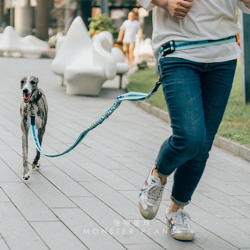 Регулируемый поводок для собак – обзор и цена Running Gear Dog