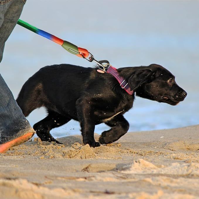 Регулируемый поводок для собак – обзор и цена Running Gear Dog