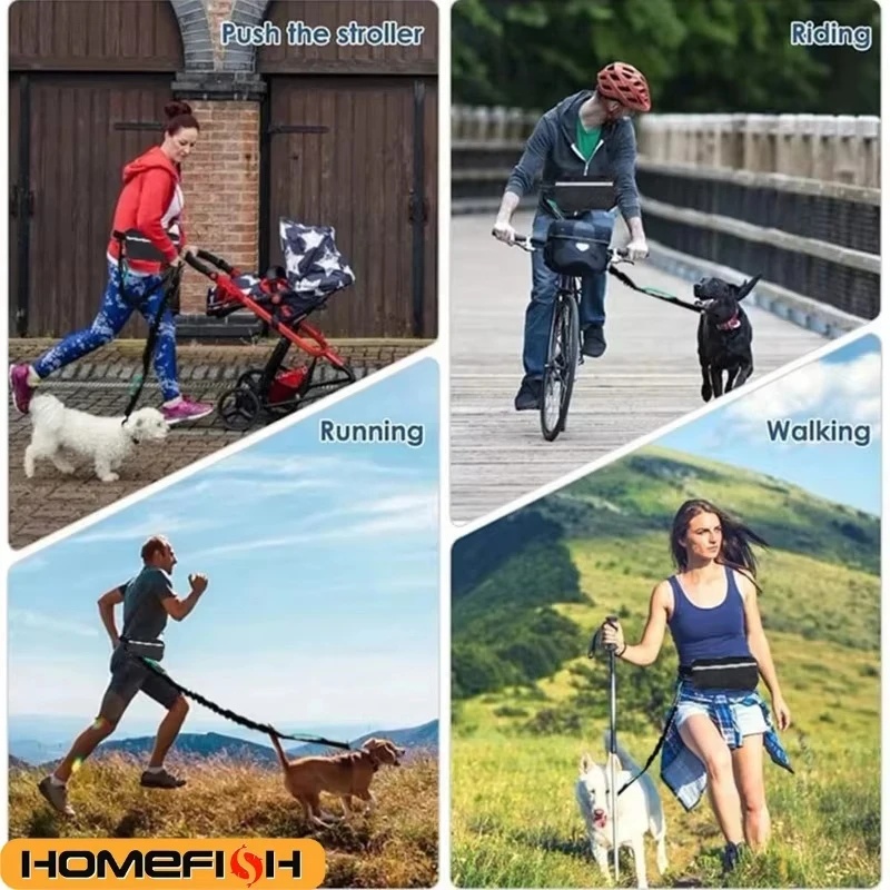 Светоотражающий поводок для со – обзор и цена Running Gear Dog