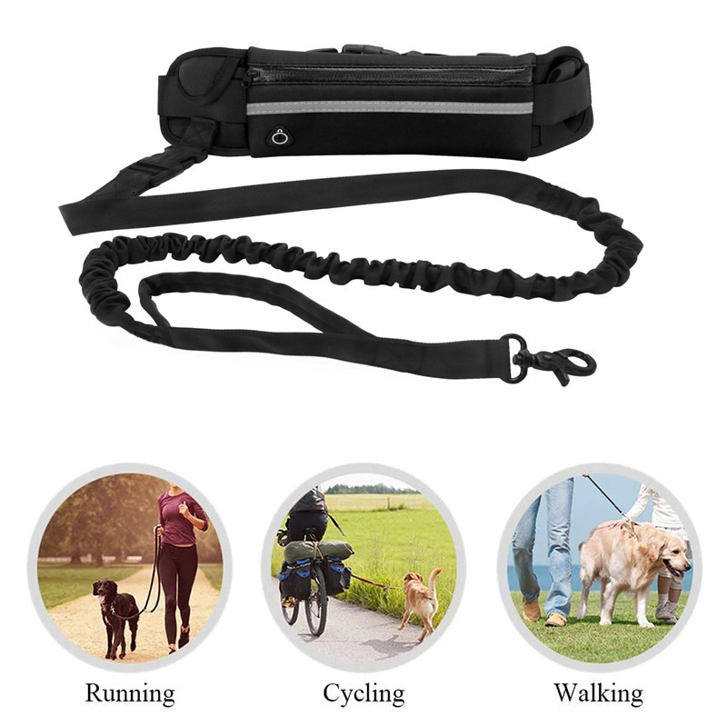 Многофункциональный набор для  – обзор и цена Running Gear Dog