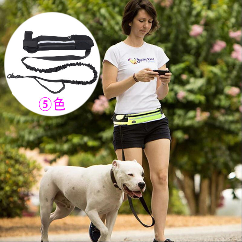 Многофункциональный набор для  – обзор и цена Running Gear Dog