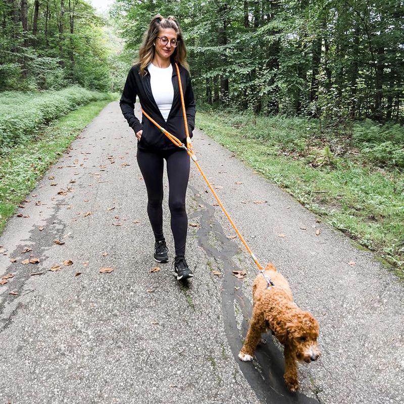 Светоотражающий поводок для со – обзор и цена Running Gear Dog