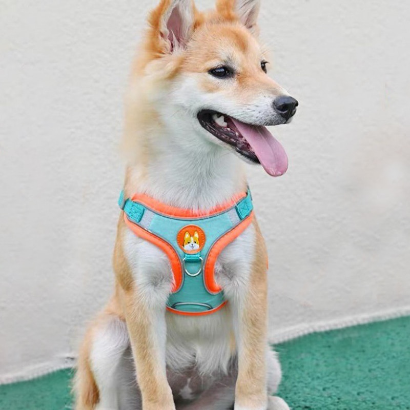 Светоотражающий поводок для со – обзор и цена Running Gear Dog